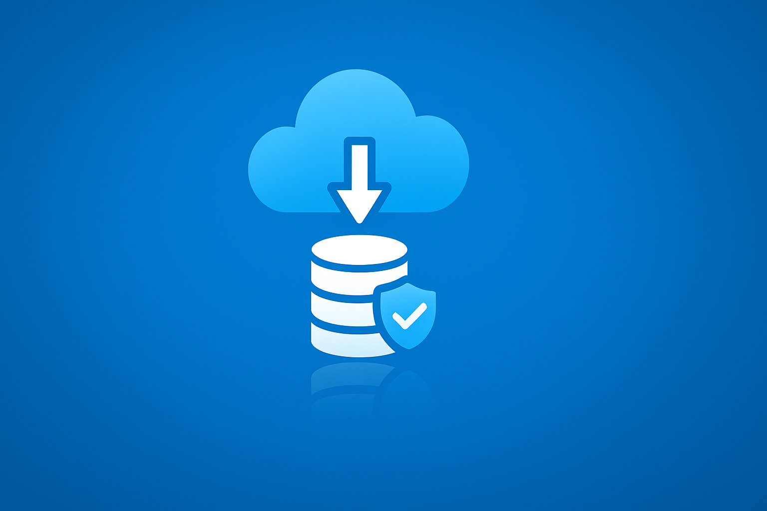 Pack sauvegarde (local et/ou Cloud)